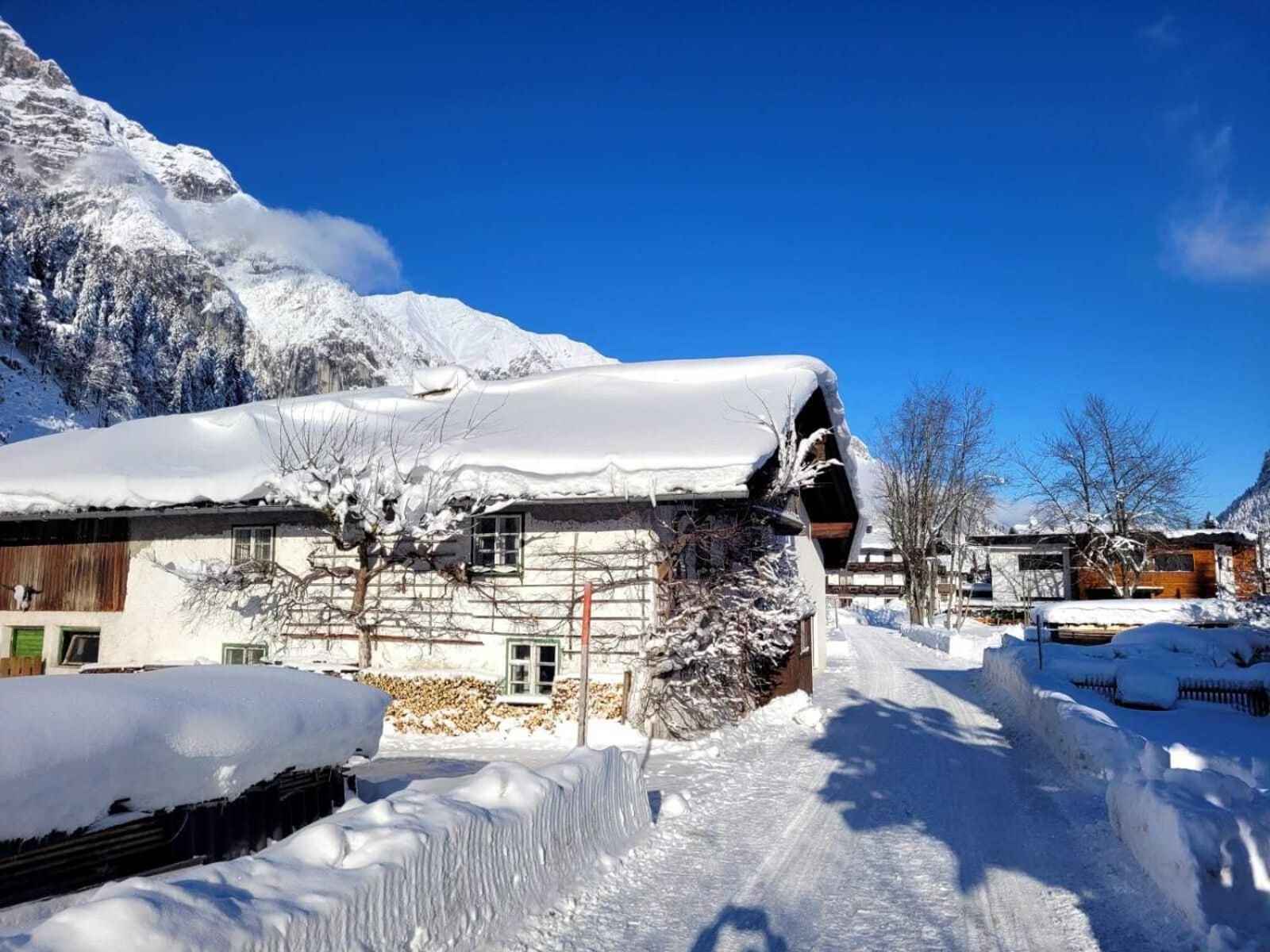 Alpenchalet Im Leutaschtal ภายนอก รูปภาพ