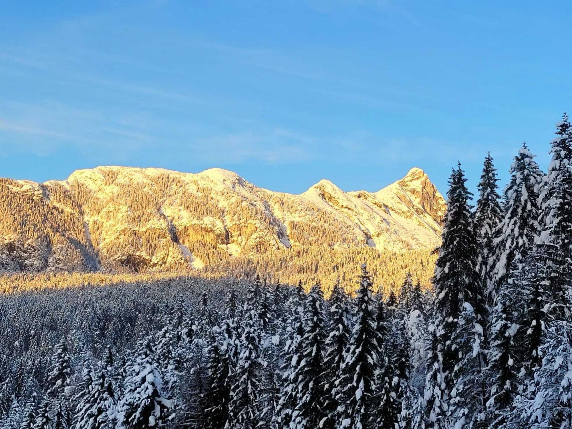 Alpenchalet Im Leutaschtal ภายนอก รูปภาพ